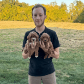 Featured author image: The Best Organic CBD Oil  For Dogs